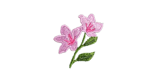 Azalea