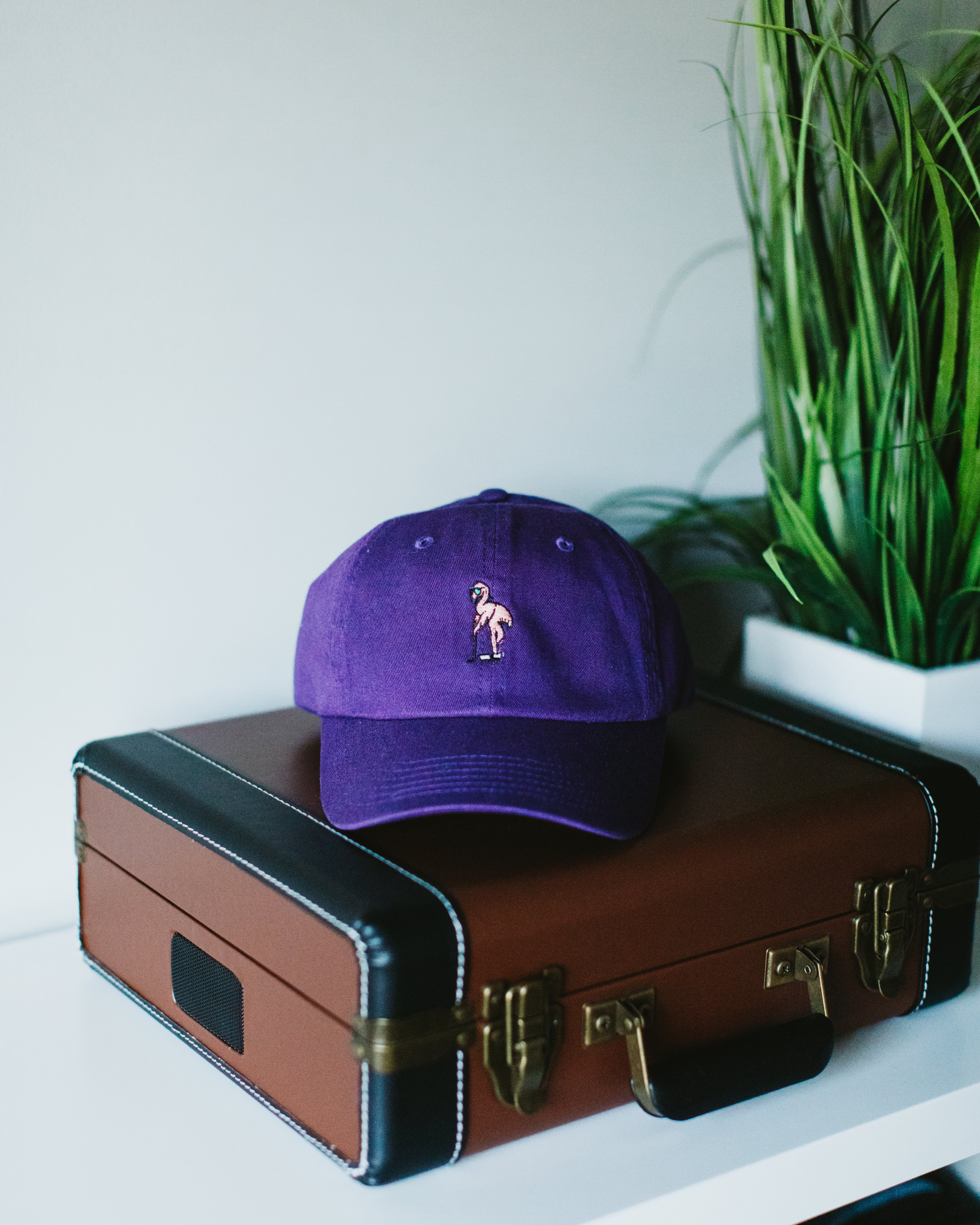 The Flamingo Classic - Adjustable Cotton Cap - Image 5
