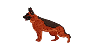 German Shephard