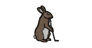 Hare Ball