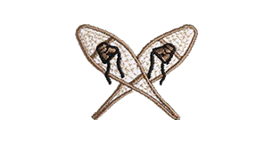 Snow Shoes